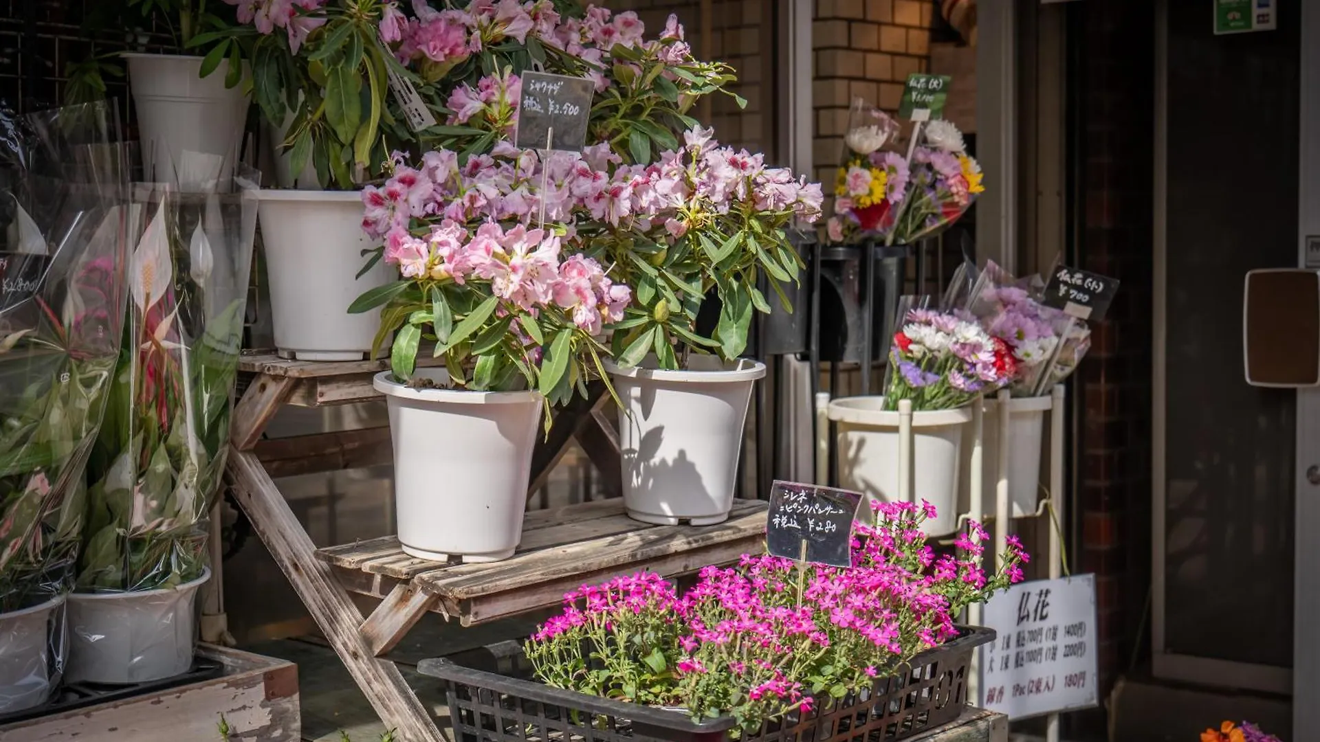 桜の川15 Detached House Ikebukuro 2 Mins Kanamecho Station 1 Min Eight People Tokyo